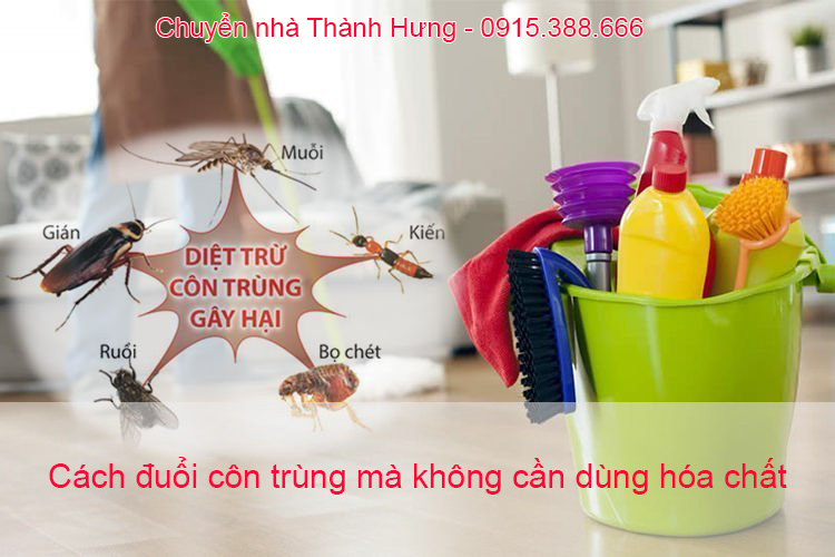 Cách đuổi côn trùng hiệu quả