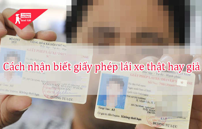 kiểm tra bằng lái xe thật giả