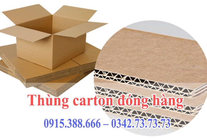 Những lợi ích của việc sử dụng thùng carton đóng hàng trong vận chuyển