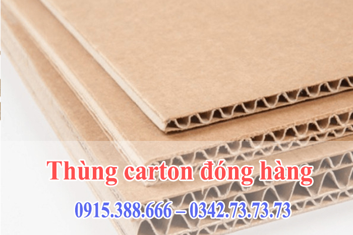 Các loại thùng carton phổ biến được sử dụng trong đóng gói hàng hóa