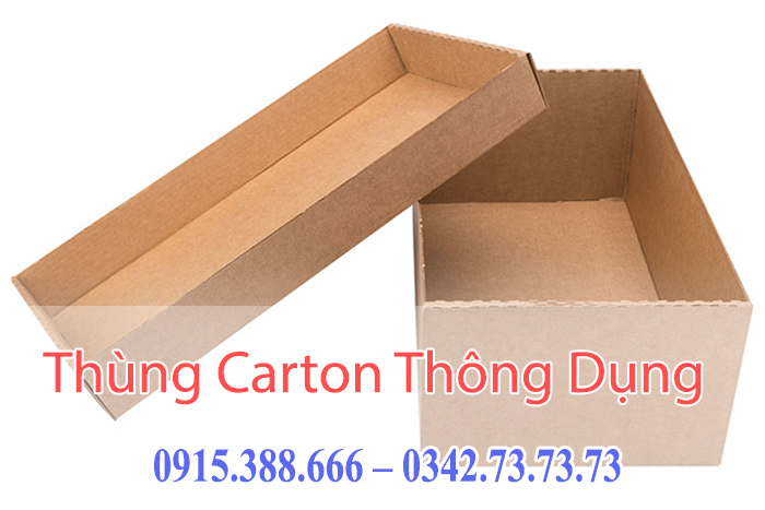Thùng Carton Âm Dương (Hộp Carton Nắp Rời)