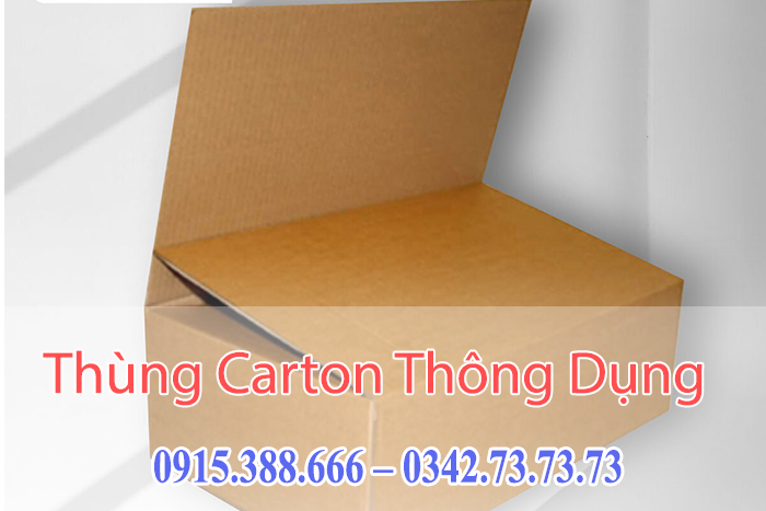 Thùng carton có nắp chồm