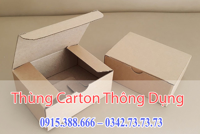 Hộp Carton Nắp Gài Đáy Khóa