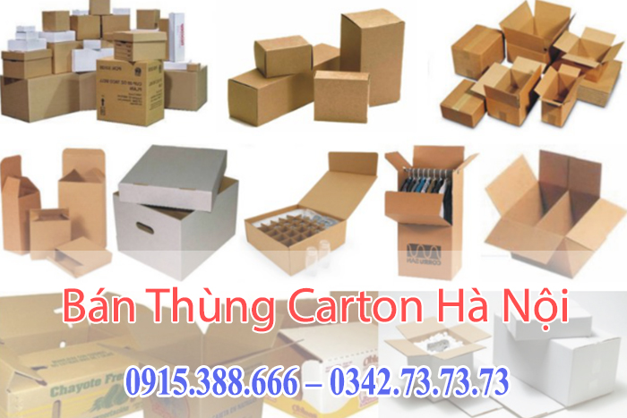 mua-ban-thung-carton-ha-noi Mua Bán Thùng Carton Hà Nội Uy Tín, Giá Rẻ