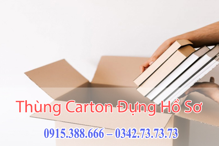 Thùng Carton Đựng H�?Sơ, Tài Liệu văn phòng