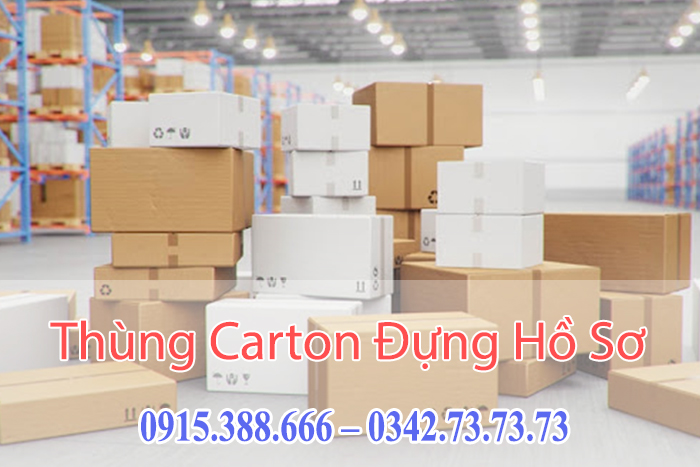 Thùng Carton Đựng H�?Sơ, Tài Liệu văn phòng